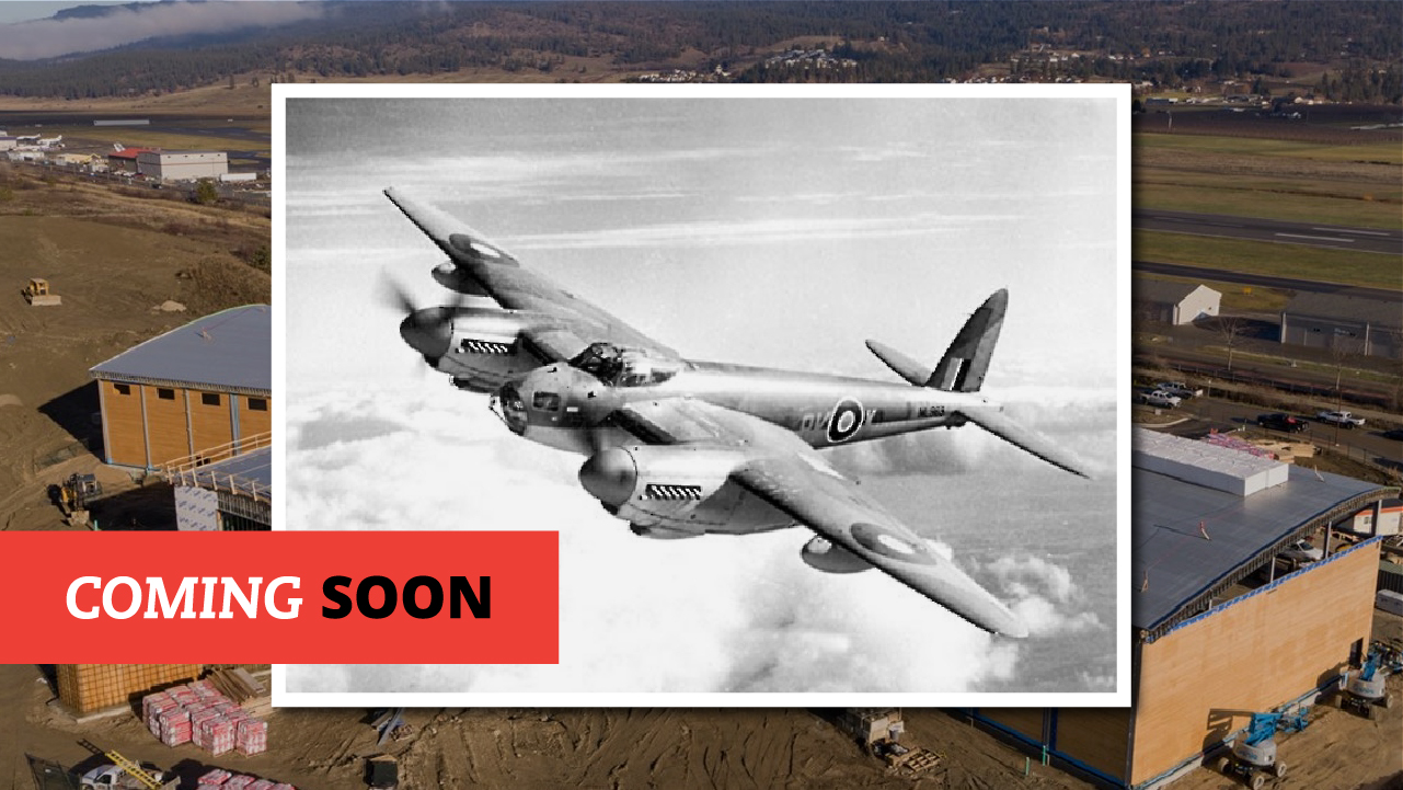 mossie-arrival-instaArtboard 7 copy 3